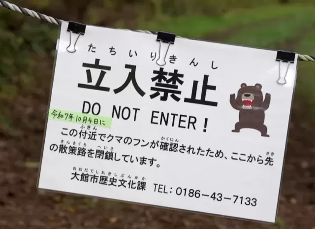 Japan's AI Bear Video Crisis: Fear and Misinformation