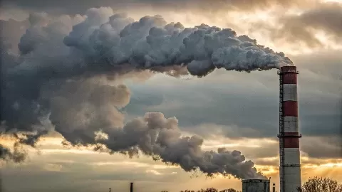 The World Court Declares Climate Change an 'Existential Threat'