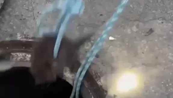 Firefighters Rescue Kitten From Storm Drain, Kitten Named After Rescuer
